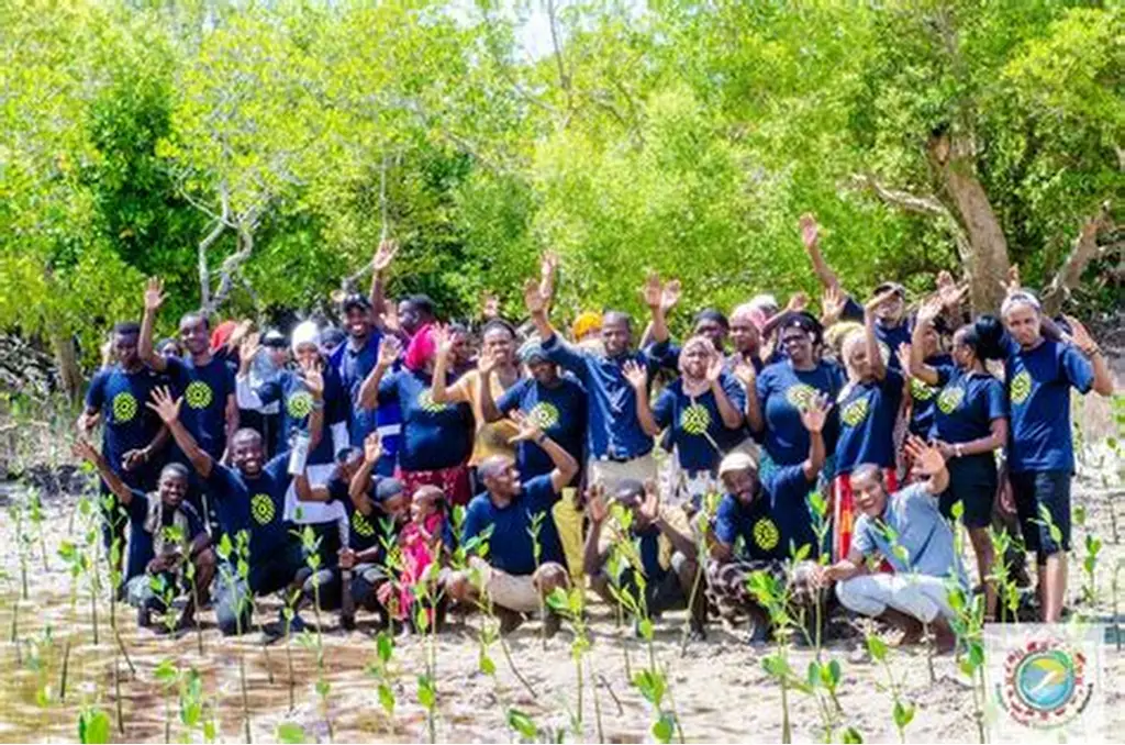 sustainable development organizations in Africa