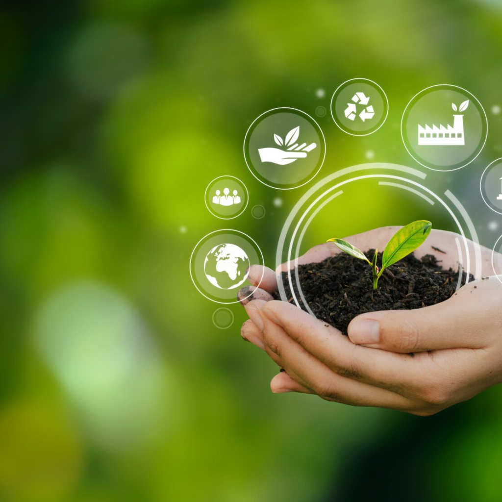 sustainable development organizations in Africa